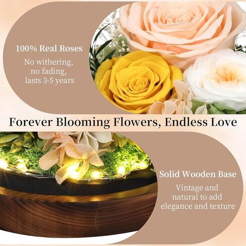 Mother's Day Eternal Rose Gifts for Mom, Preserved Real Rose in Glass Dome with LED Light for Decoration, Flowers for Delivery Prime, Gifts for Women Wife Her on Birthday Anniversary, Purple in Kuwait