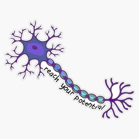 MAGNET Reach Your Potential - Neuron Brain Motivation Magnetic Vinyl Sticker Decal Magnet 5" in Saudi Arabia