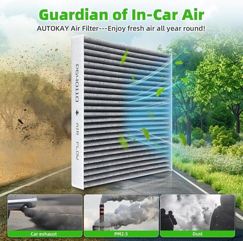 AUTOKAY P640110 Cabin Air Filter Fit for International HV507 HV513 HV607 HV613 MV607 LT625 for Kenworth T660 T680 T700 T800 T880 W900 for Peterbilt 567 579 2011-2021 Set of 2 RE# X1987001 AF55839 in Saudi Arabia