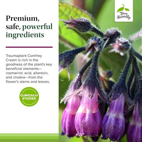 Terry Naturally Traumaplant Comfrey Cream - 3.53 oz - Non-Staining Topical - Free of Pyrrolizidine Alkaloids (PAs) & Parabens - for External Use Only in Kuwait
