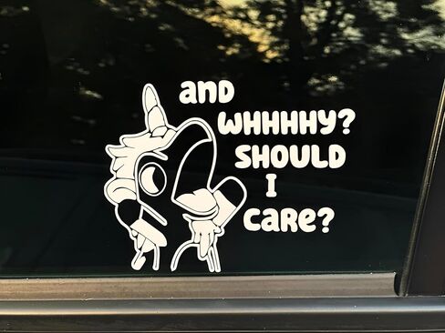 and Why Should I Care Decal Funny Parking Vinyl Sticker and Why Should I Care Sticker for Cars Outdoor & Window in Saudi Arabia