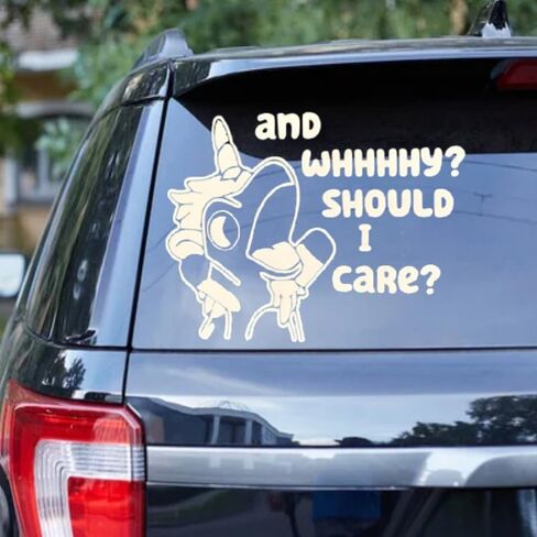 and Why Should I Care Decal Funny Parking Vinyl Sticker and Why Should I Care Sticker for Cars Outdoor & Window in Saudi Arabia