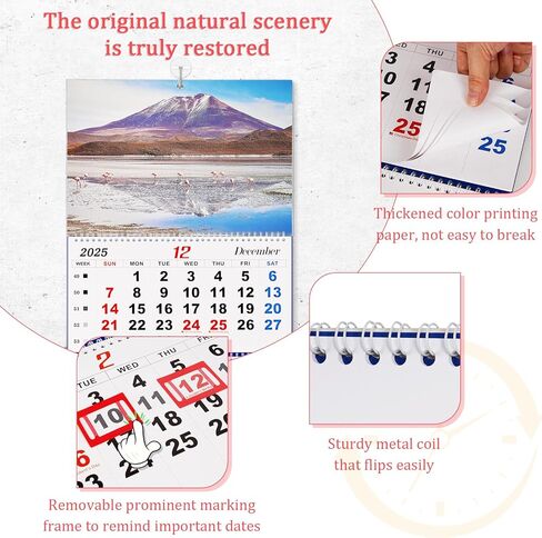 تقويم حائط 2025 تقويم شهري لمدة 3 أشهر تقويم جداري كبير ورق سميك 2024-2026 تقويم 14 شهرًا لمكتب العائلة (أزرق-1) in Kuwait