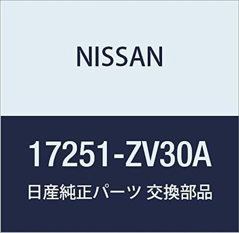 Genuine Nissan Parts - Cap Assy - Filler (17251-ZV30A) in Saudi Arabia