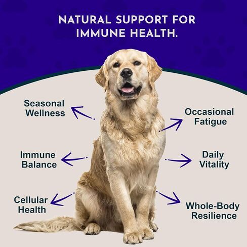 الدفاع عن الفطر من Animal Essentials - دعم الجهاز المناعي للكلاب والقطط، مضادات الأكسدة الطبيعية، الفطر، لجميع الأعمار، أعشاب عضوية - 1 أونصة سائلة in Kuwait