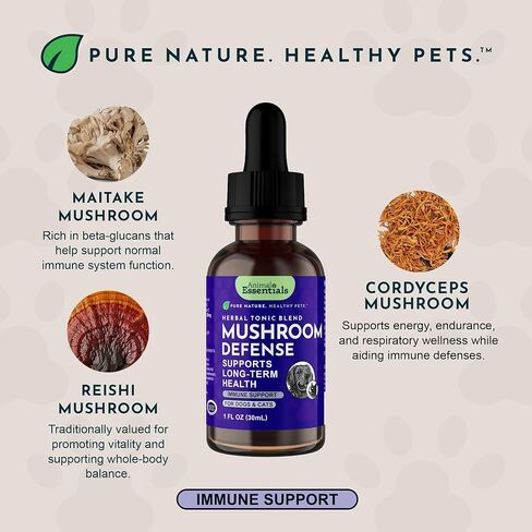 الدفاع عن الفطر من Animal Essentials - دعم الجهاز المناعي للكلاب والقطط، مضادات الأكسدة الطبيعية، الفطر، لجميع الأعمار، أعشاب عضوية - 1 أونصة سائلة in Kuwait