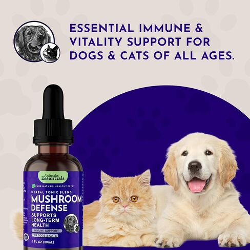 الدفاع عن الفطر من Animal Essentials - دعم الجهاز المناعي للكلاب والقطط، مضادات الأكسدة الطبيعية، الفطر، لجميع الأعمار، أعشاب عضوية - 1 أونصة سائلة in Kuwait