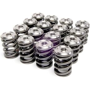 Skunk2 Racing 344-05-1410 Alpha Valve Spring and Titanium Retainer Kit for Honda K-Series Engines