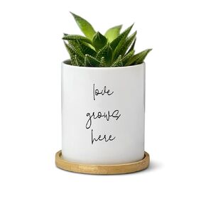 Flower Succulent Plant Pot with Drainage Hole and Bamboo Saucer - Love Grows Here Planter for Women - New Home Gift - Present for Couple