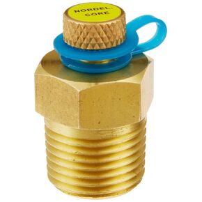 PIC Gauge PT50NOR Brass Test Plug 1/2 NPT Connection Size 1000 psig at 200° F Maximum Operating Pressure