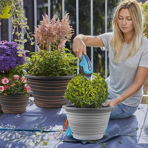 Plant Pots Indoor with Saucers & Drainage - 4 Pack Flower Pots for Indoor Plants- Plastic Planters for Outdoor Planter - 8.5/7.5/6.5/6 inches Sizes for All Different Types of Plants (Black) in Kuwait