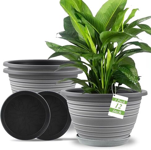 Plant Pots Indoor with Saucers & Drainage - 4 Pack Flower Pots for Indoor Plants- Plastic Planters for Outdoor Planter - 8.5/7.5/6.5/6 inches Sizes for All Different Types of Plants (Black) in Kuwait