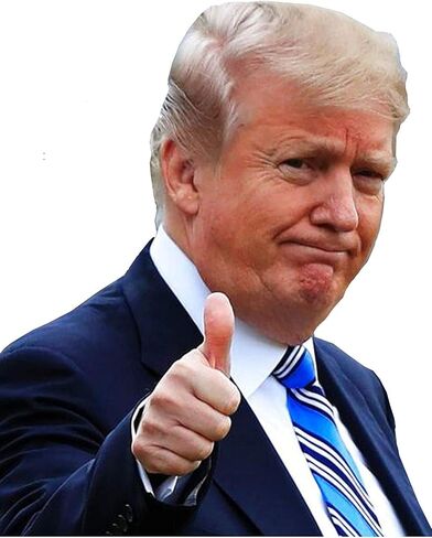 Ride with Donald Trump Car Stickers, Window Cling - Easy Removal Leaves No Residue - Do You Ride with Trump? Now You Can Show It in Kuwait