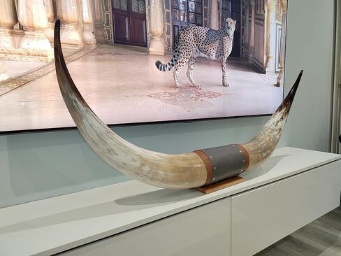 Authentic Large Chunky Real Bull Longhorn Leather Horn Mount - 47" to 50" - Steer Horns Truck Wall Hangings and Wall Decor, Truck Bull Horns in Saudi Arabia