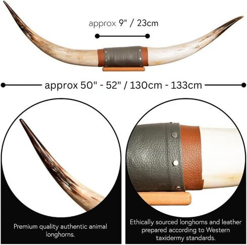 Authentic Large Chunky Real Bull Longhorn Leather Horn Mount - 47" to 50" - Steer Horns Truck Wall Hangings and Wall Decor, Truck Bull Horns in Saudi Arabia