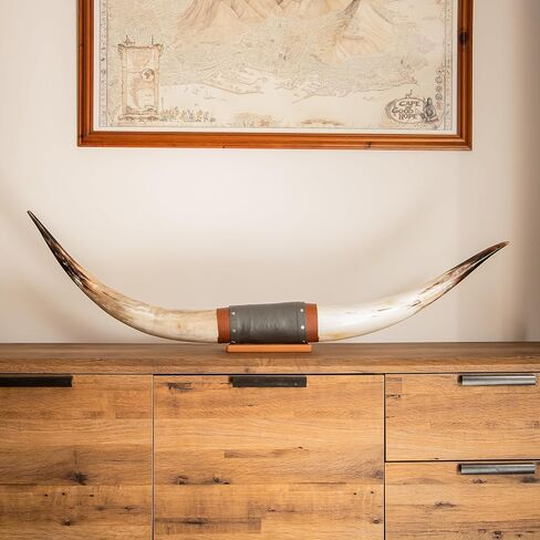 Authentic Large Chunky Real Bull Longhorn Leather Horn Mount - 47" to 50" - Steer Horns Truck Wall Hangings and Wall Decor, Truck Bull Horns in Saudi Arabia