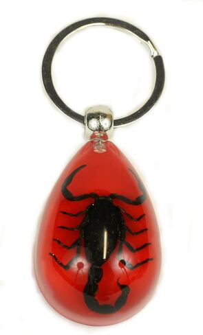 REALBUG سلسلة مفاتيح خنفساء شافر خضراء شفافة in Kuwait