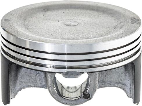 NICHE Cylinder Piston Gasket Kit for Yamaha Grizzly 550 FI EPS 28P-11311-00-00 1S3-11351-00-00 in Saudi Arabia