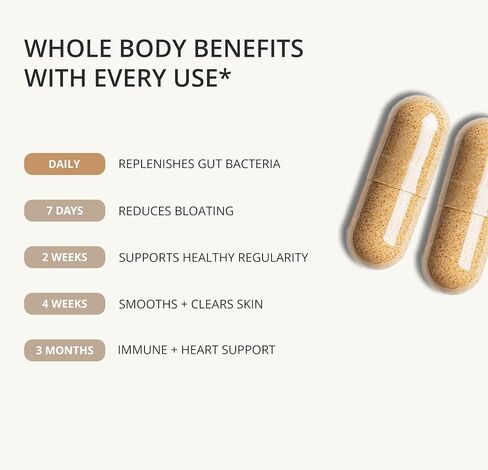 Akkermansia Muciniphila Probiotic - 1 مليار AFU مع 390 مجم من ألياف الإنولين بريبيوتيك - 60 كبسولة، كمية تكفي لمدة شهرين - دعم صحة الأمعاء والتمثيل الغذائي، بروبيوتيك يومي للرجال والنساء in Saudi Arabia