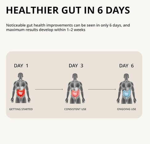 Akkermansia Muciniphila Probiotic - 1 مليار AFU مع 390 مجم من ألياف الإنولين بريبيوتيك - 60 كبسولة، كمية تكفي لمدة شهرين - دعم صحة الأمعاء والتمثيل الغذائي، بروبيوتيك يومي للرجال والنساء in Saudi Arabia
