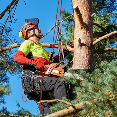 Arborist Rope 5/8in Climbing Rope Tree Rope for Outdoor Climbing Swing Sailing Halyard in Saudi Arabia