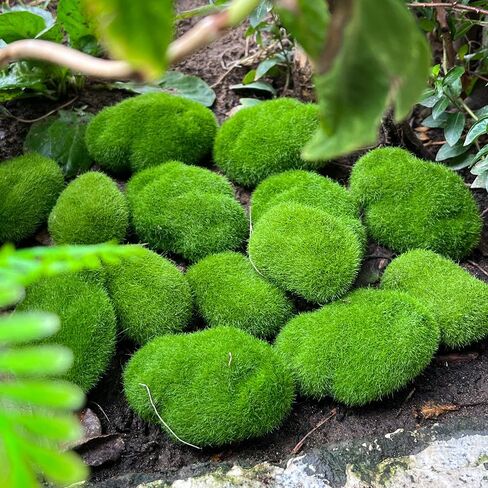 5Pcs Artificial Moss Rocks Green Moss Stones for Garden Crafting Simulation Crafts Foam Fake Rock DIY Landscape Decor 5x7cm in Saudi Arabia