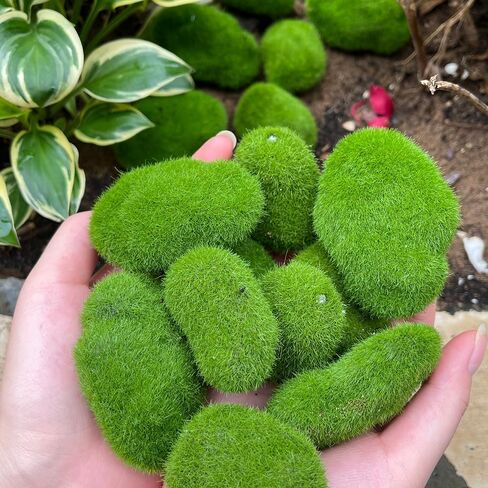 5Pcs Artificial Moss Rocks Green Moss Stones for Garden Crafting Simulation Crafts Foam Fake Rock DIY Landscape Decor 5x7cm in Saudi Arabia