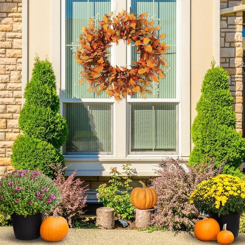 Sggvecsy 22 Inch Artificial Christmas Wreath for Front Door Xmas Red Berry Wreath with Pine Needles Pine Cones Eucalyptus Leaves Christmas Decorations for Winter Wall Outdoor Home Holiday Xmas Decor in Saudi Arabia