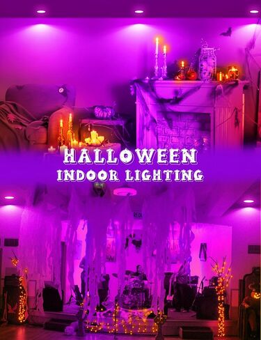 JandCase BR30 Halloween Light Bulbs, E26 Base Halloween Purple & Orange Indoor Flood Light Bulbs, Orange Purple Flood Light Bulbs for Halloween Decoration,11W(65W Equivalent),Not-Dimmable, 2 Pack in Kuwait