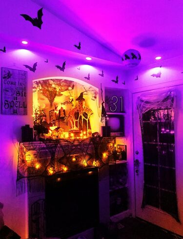 JandCase BR30 Halloween Light Bulbs, E26 Base Halloween Purple & Orange Indoor Flood Light Bulbs, Orange Purple Flood Light Bulbs for Halloween Decoration,11W(65W Equivalent),Not-Dimmable, 2 Pack in Kuwait