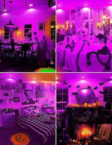 JandCase BR30 Halloween Light Bulbs, E26 Base Halloween Purple & Orange Indoor Flood Light Bulbs, Orange Purple Flood Light Bulbs for Halloween Decoration,11W(65W Equivalent),Not-Dimmable, 2 Pack in Kuwait