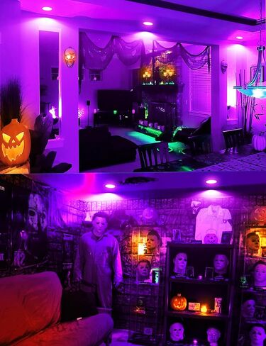 JandCase BR30 Halloween Light Bulbs, E26 Base Halloween Purple & Orange Indoor Flood Light Bulbs, Orange Purple Flood Light Bulbs for Halloween Decoration,11W(65W Equivalent),Not-Dimmable, 2 Pack in Kuwait