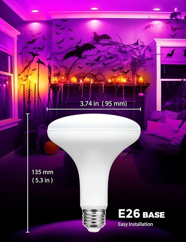 JandCase BR30 Halloween Light Bulbs, E26 Base Halloween Purple & Orange Indoor Flood Light Bulbs, Orange Purple Flood Light Bulbs for Halloween Decoration,11W(65W Equivalent),Not-Dimmable, 2 Pack in Kuwait