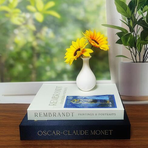 Decorative Books Set of 2 - Elegant Faux Books for Coffee Table with Metal Tassel Bookmark, Bookshelf Accents & Photo Keepsake Storage Box in Saudi Arabia