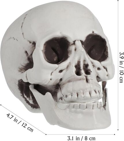 Garneck 6Pcs Halloween Skulls, Halloween Realistic Skeleton Heads Props Plastic Skulls Head for Home Table Decor Ghost House, 3.5x4x5.3 Inch in Saudi Arabia