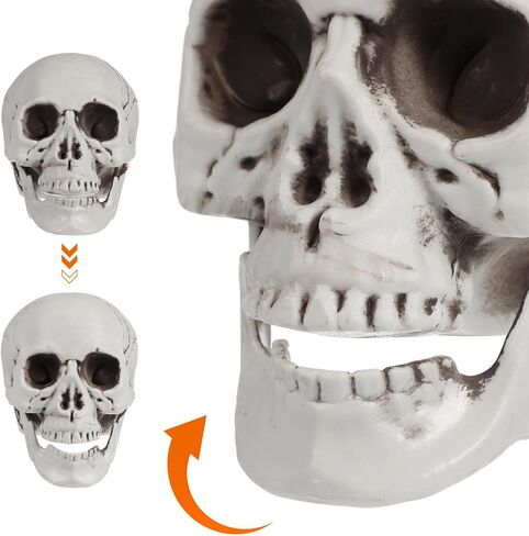 Garneck 6Pcs Halloween Skulls, Halloween Realistic Skeleton Heads Props Plastic Skulls Head for Home Table Decor Ghost House, 3.5x4x5.3 Inch in Saudi Arabia