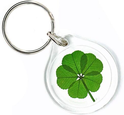 Genuine Preserved 5 Leaf Clover Good Luck Charm Keychain in Saudi Arabia