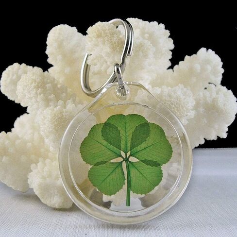 Genuine Preserved 5 Leaf Clover Good Luck Charm Keychain in Saudi Arabia