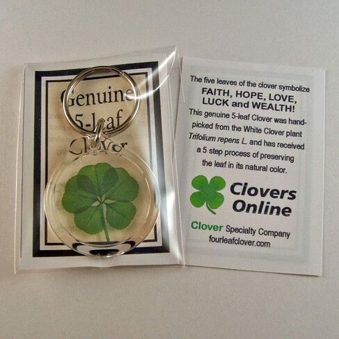 Genuine Preserved 5 Leaf Clover Good Luck Charm Keychain in Saudi Arabia