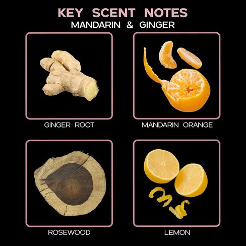 LOVSPA Hawaiian Sandalwood Luxury Home Fragrance Diffuser Reeds Set | Opulent Notes of Creamy Sandwalwood, Amber & Earthy Patchouli in Kuwait