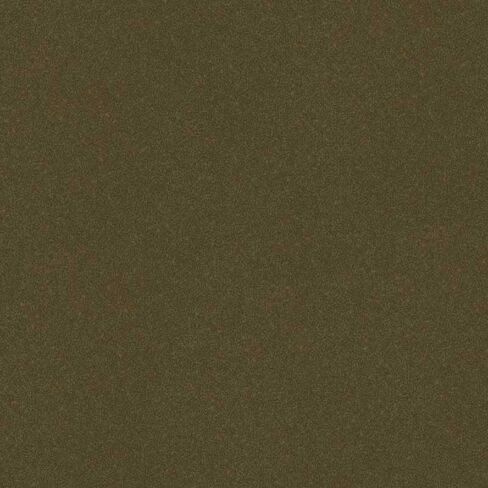 Automotive Paint for Ford H5, Caribou, 11oz Aerosol in Saudi Arabia