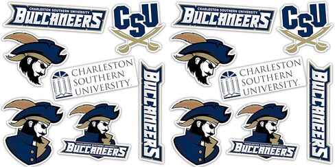 Desert Cactus Charleston Southern University Stickers CSU Buccaneers Vinyl Decals Laptop Water Bottle Car Scrapbook Sheet T2 (Type 2) in Saudi Arabia