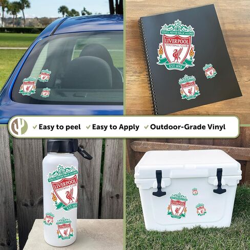 Desert Cactus Liverpool FC Stickers Decal Vinyl English Anfield Football Soccer Laptop Water Bottle Car Scrapbook (Type 3-2) in Saudi Arabia