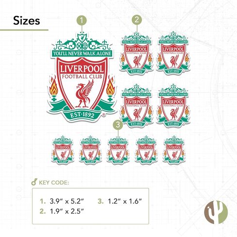 Desert Cactus Liverpool FC Stickers Decal Vinyl English Anfield Football Soccer Laptop Water Bottle Car Scrapbook (Type 3-2) in Saudi Arabia