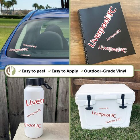Desert Cactus Liverpool FC Stickers Decal Vinyl English Anfield Football Soccer Laptop Water Bottle Car Scrapbook (Type 3-2) in Saudi Arabia