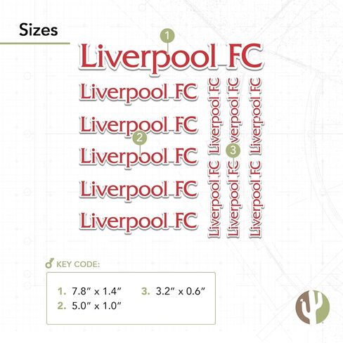 Desert Cactus Liverpool FC Stickers Decal Vinyl English Anfield Football Soccer Laptop Water Bottle Car Scrapbook (Type 3-2) in Saudi Arabia