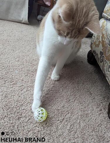 10 قطع من كرة لعبة القطط الكبيرة مقاس 1.5 بوصة ~ 2.2 بوصة مع جرس، وكرات جلجل شبكية بلاستيكية، لجميع أحجام السلالات in Kuwait