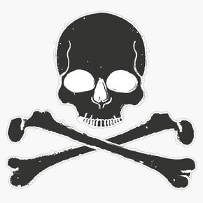 HOF Trading Skull and Crossbones Jolly Roger Vinyl Sticker Waterproof Decal Laptop Wall Window Bumper Sticker 5" in Saudi Arabia