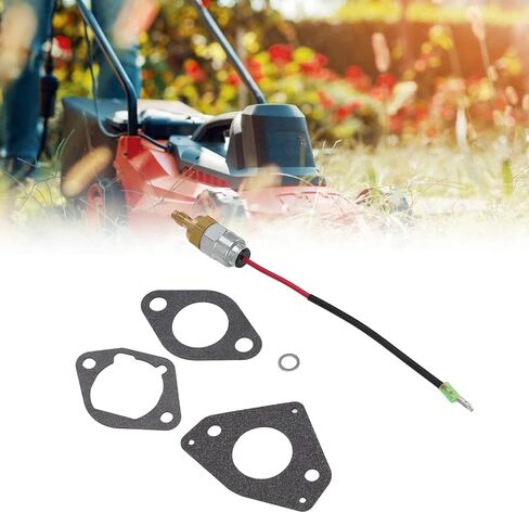 استبدال الملف اللولبي للوقود المكربن ​​من Pilipane 2475745-S لمحركات Kohler والشجاعة مع استبدال الحشيات in Saudi Arabia