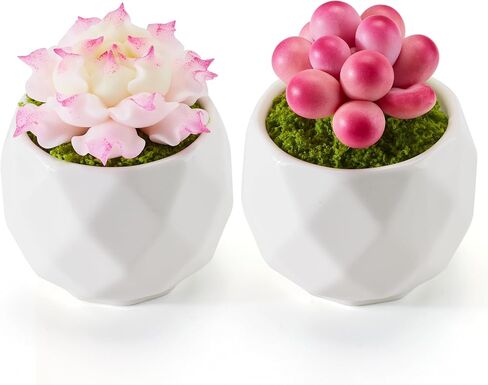 Set of 2 Artificial Succulent Plants Potted - Small Fake Succulents Handmade for Home Decor, Pink Desk Accessories, Dorm Decor in Saudi Arabia